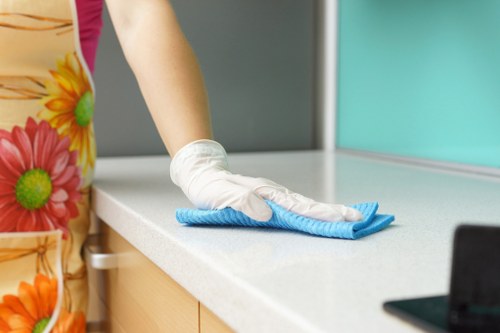 Steam carpet cleaning service for homes and businesses in West Kensington