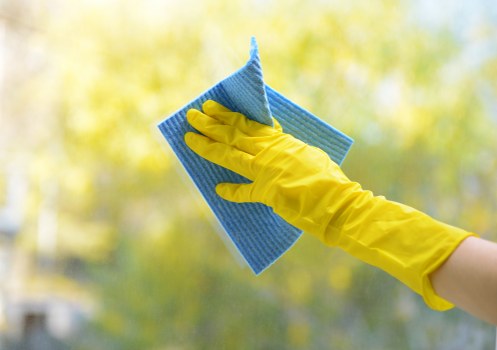 Deep cleaning upholstery affected by pet stains in West Kensington