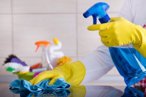 Gutter cleaning service for homes and flats in West Kensington
