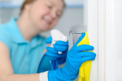 Professional domestic cleaner working in a West Kensington flat