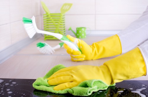 Window cleaning service for a flat block in West Kensington