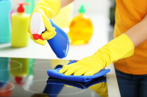 Professional cleaning treatment for a stubborn sofa stain