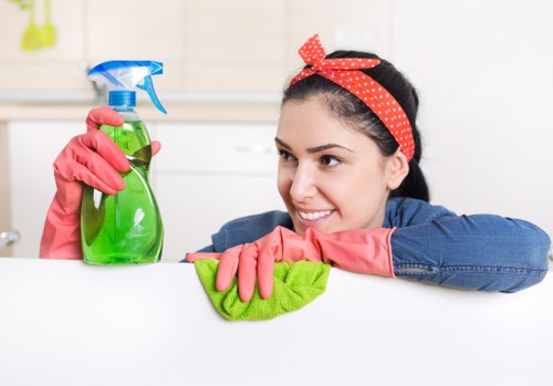 Thorough move out cleaning for a West Kensington property