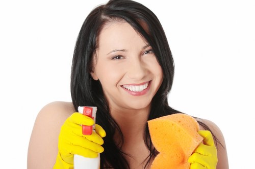 Deep cleaning equipment used on a carpet in West Kensington